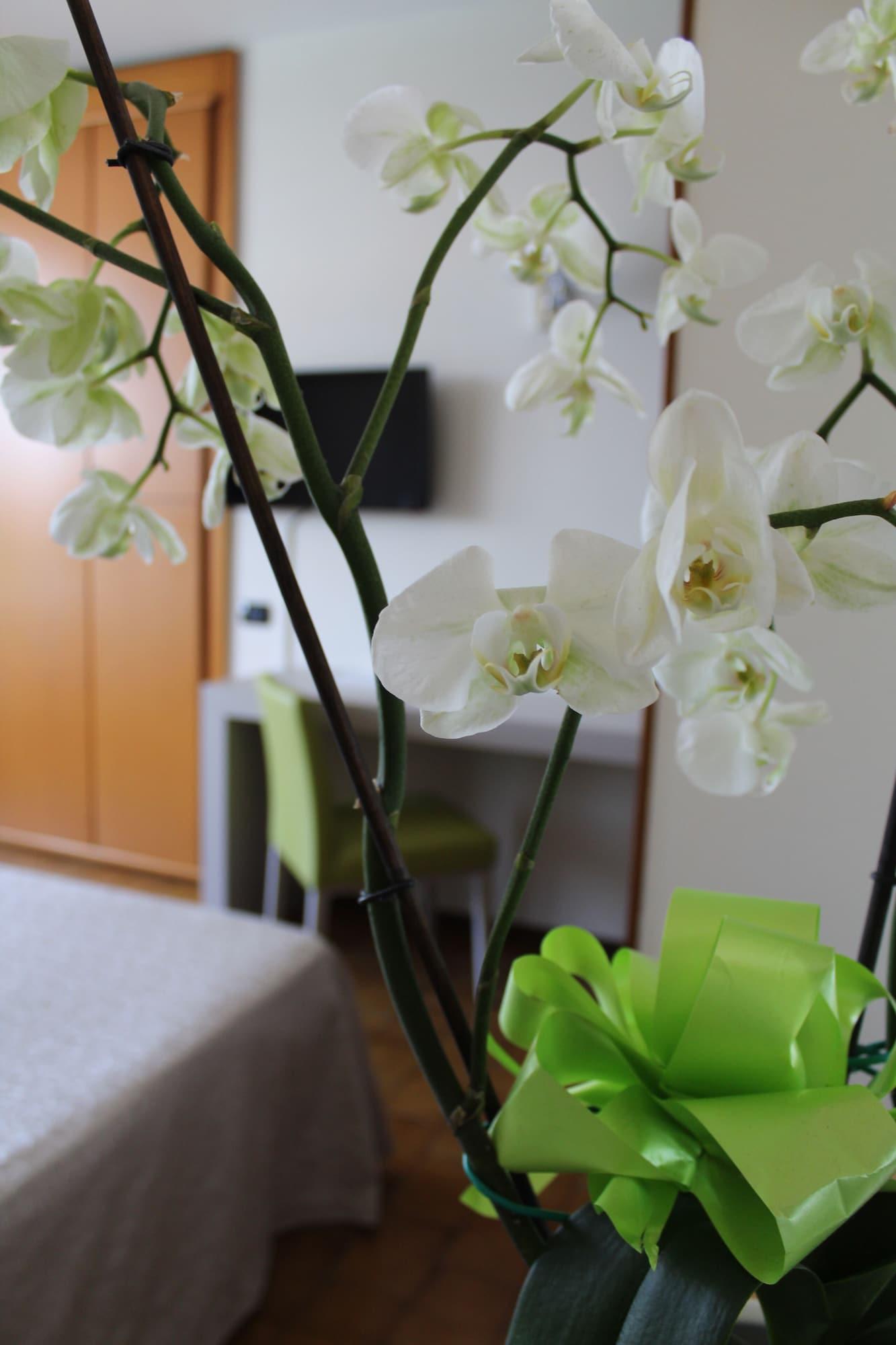 Hotel Residence Holiday Sirmione Dış mekan fotoğraf